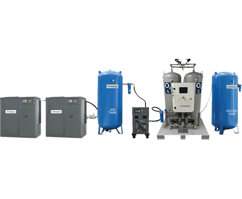 PSA Oxygen Generation System