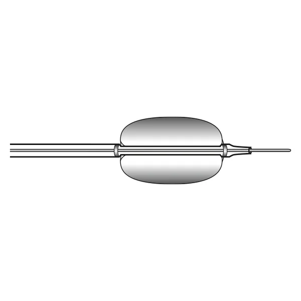 Stone Extraction Balloons
