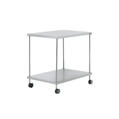 Stainless Steel Table on Casters SST 05