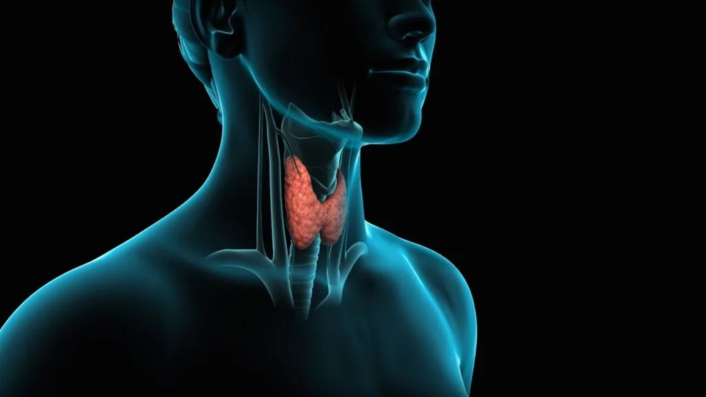 Thyroid Surgery Set