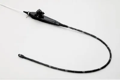 Transesophageal Probe (for Lisendo)