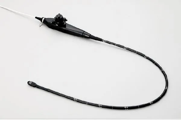 Transesophageal Probe (for Lisendo)