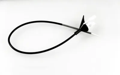 Ureteral Access Sheath