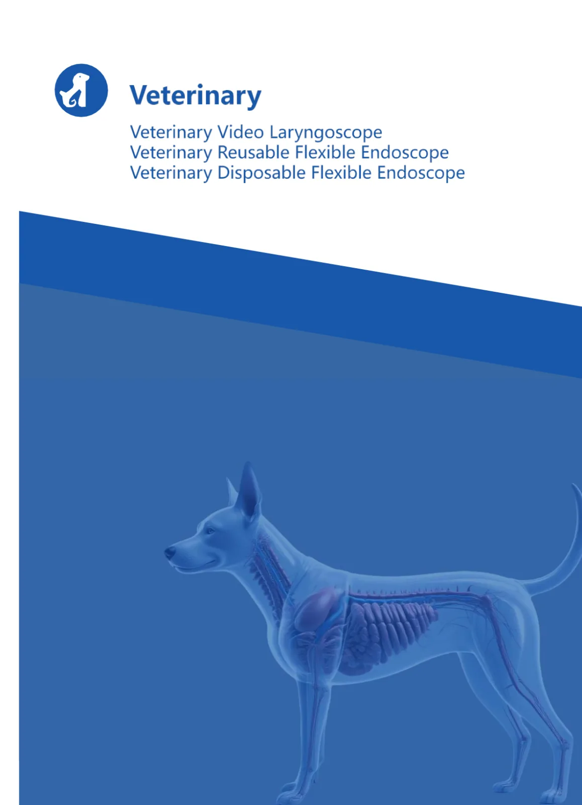 Veteriner Laringoskop ve Fleksibl Endoskop Binotech