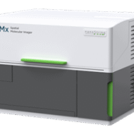 CosMx Panelleri