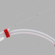 RoadRunner PC Double Flexible Tip Wire Guide