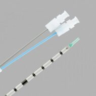Dual Lumen Ureteral Access Catheter