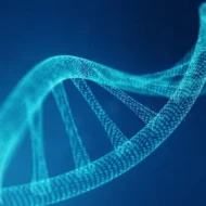 Yeni Nesil Dizileme Tabanlı HPV vs STI Paneli
