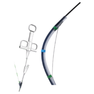 SPHINCTEROTOMES