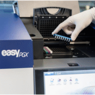 Diatech EasyPGX® ready BCR-ABL Füzyon