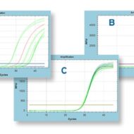 Altona RealStar® SARS-CoV-2 RT-PCR Kit