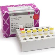 SBTexcellerator