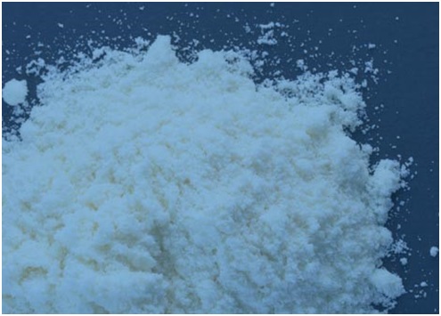 Bebek Mamalarında Cronobacter, Salmonella and Enterobacteriaceae Tespiti