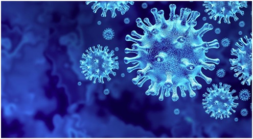 Gıdalarda COVID-19 Tespiti