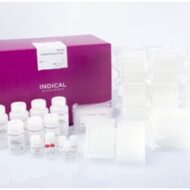 Indical Bioscience Otomasyona Uygun İzolasyon Kitleri