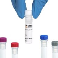 STEMCELL Antikorlar