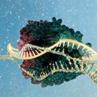 STEMCELL Genome Editing