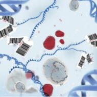 Klinik Ekzom Dizileme