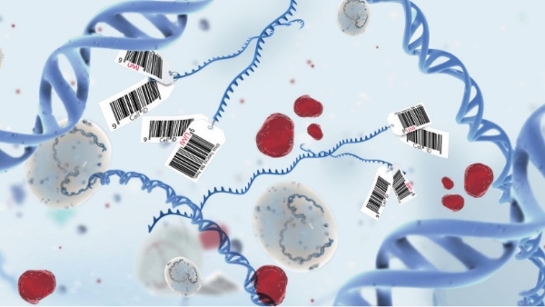 Klinik Ekzom Dizileme