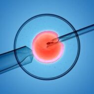 IVF