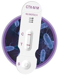ESBL DİRENÇ TESPİTİ