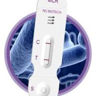 KOLİSTİN DİRENÇ TESPİTİ