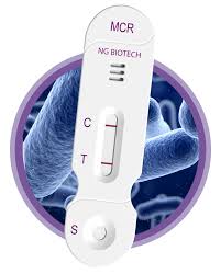 KOLİSTİN DİRENÇ TESPİTİ